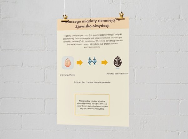 Dlaczego migdały ciemnieją? Infografika. Proces oksydacji. Chemiczny proces brązowienia. Jak temu zapobiegać?