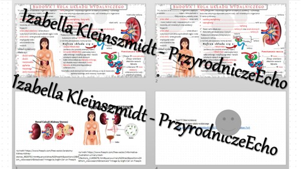 Minizestaw na temat „Budowa i działanie układu wydalniczego” – sketchnotka + karta pracy w power point + gratisowy link do prezentacji multimedialnej niekomercyjnej wykonanej w genial.ly do indywidualnego pobrania i użycia do celów niekomercyjnych. Biolo