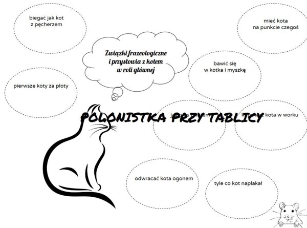 Kot związki frazeologiczne DZIEŃ KOTA