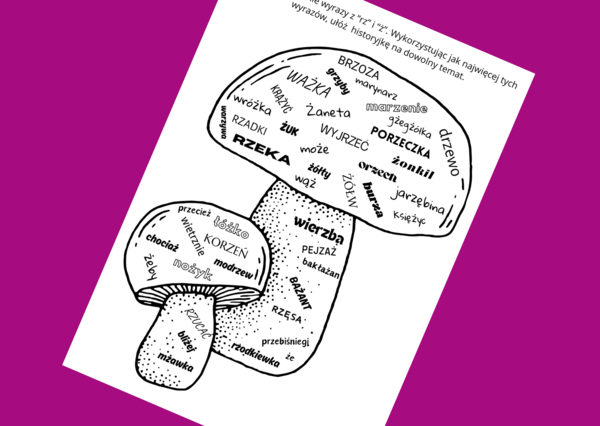 Ortograficzna CHMURA wyrazowa RZ/Ż - ortografia - karta pracy - ćwiczenia redakcyjne