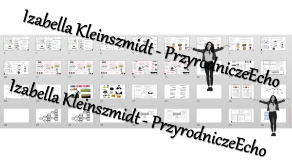 Megazestaw sketchnotek i kart pracy + w gratisie linki do prezentacji multimedialnych oraz lekcji multimedialnych - niekomercyjnych wykonanych w genial.ly do indywidualnego pobrania i użycia do celów niekomercyjnych z PRZYRODY do klasy 4, „Poznajemy kraj