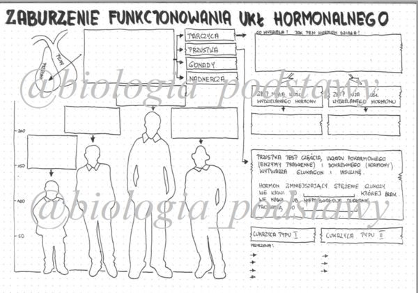 klasa 7 - Zaburzenia funkcjonowania układu hormonalnego - kp