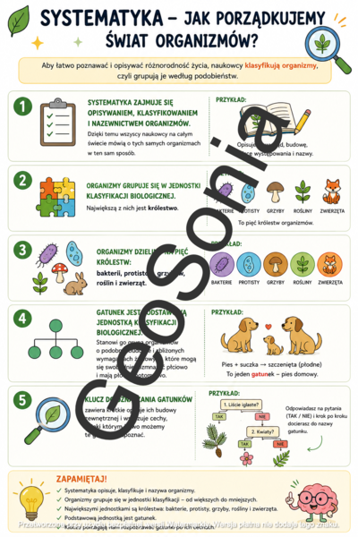 Klasyfikacja organizmów biologia klasa 5 sketchnotka