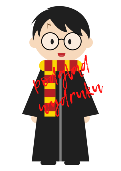 Dekoracja sali w stylu Harry'ego Pottera.