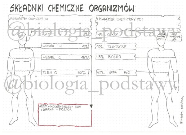 Klasa 5 - Składniki chemiczne organizmów - KP