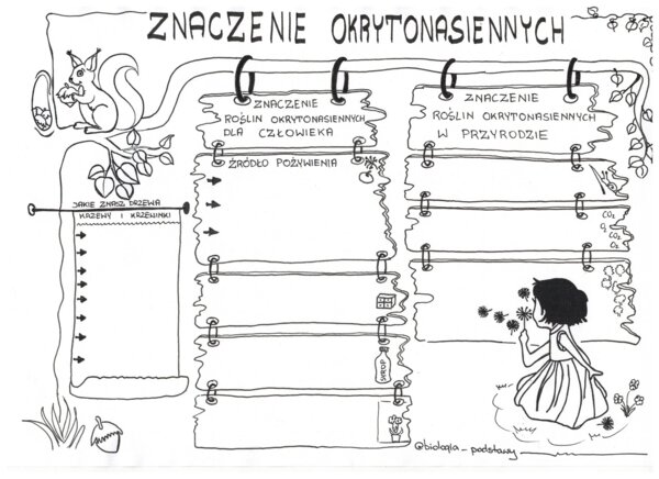Okrytonasienne - klasa 5 - karta pracy cz.3
