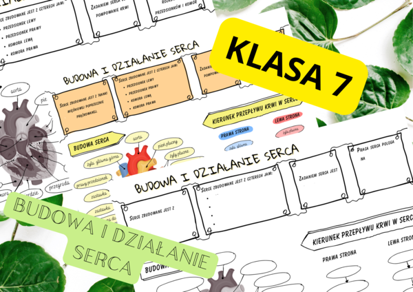 Biologia 7. Budowa i działanie serca