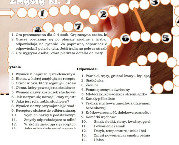 Narządy zmysłów- gra planszowa dla klasy 7