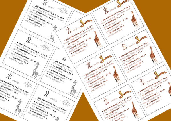 "Ż" - ZASADY ORTOGRAFICZNE - ortografia - WKLEJKA