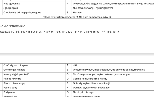 PIES w związkach frazeologicznych