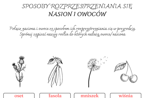 Sposoby rozprzestrzeniania się owoców/nasion
