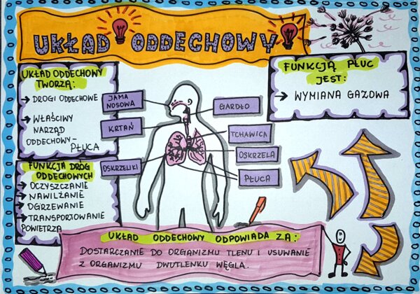 Klasa 4. Przyroda. Karta pracy. Układ oddechowy