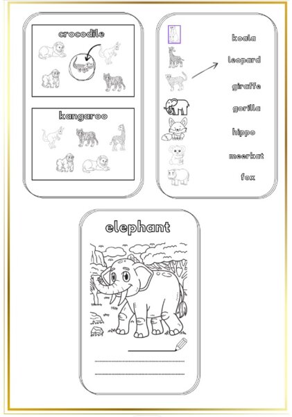 Animals - kolorowanka i ćwiczenia, 26 stron