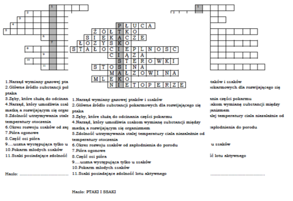 Logogryf na podsumowanie działu Kręgowce stałocieplne