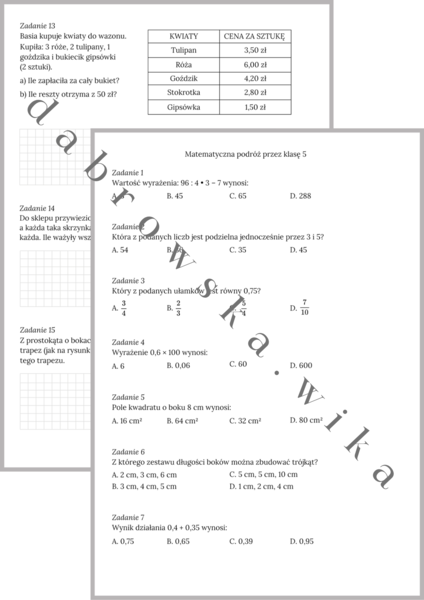 Matematyczna Podróż przez klasę 5