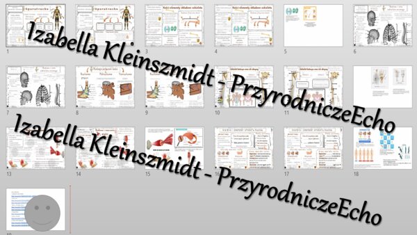 Zestaw sketchnotek i kart pracy + gratisowe linki do prezentacji multimedialnych niekomercyjnych wykonanych w genial.ly do indywidualnego pobrania i użycia do celów niekomercyjnych. Biologia 7, „Aparat ruchu”