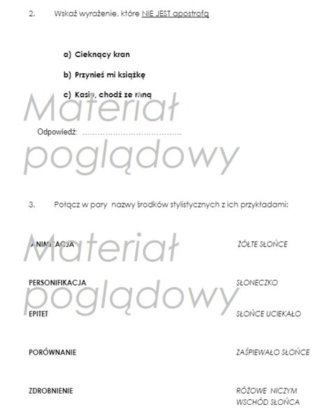 Środki stylistyczne - karta kontrolna /test