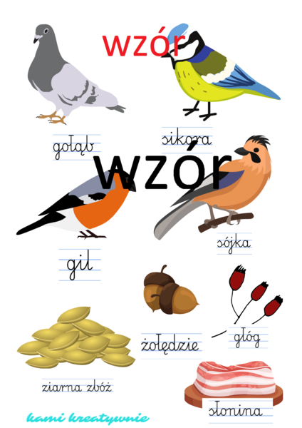 Co jedzą ptaki zimą