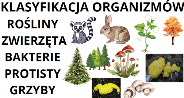 klasyfikacja organizmów