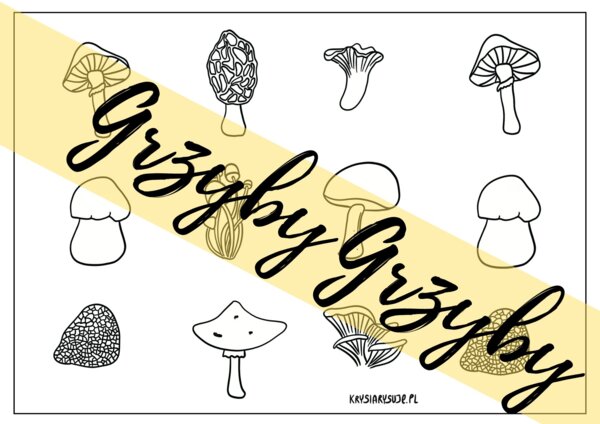 Grzyby. Kolorowanka