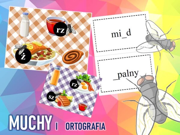 "MUCHY - ORTOGRAFIA"