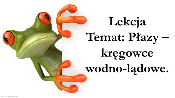Klasa 6 - Płazy kręgowce wodno-lądowe - prezentacja