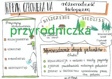 Szkoła ponadpodstawowa. Biologia. Różnorodność biologiczna
