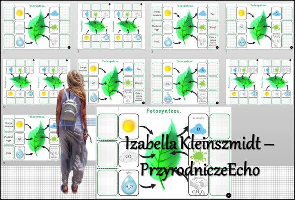 Notatka okienkowa/stacja zadaniowe/notatka interaktywna/notatka graficzna/karta pracy/sketchnotka „Samożywność”, „Fotosynteza” w pdf. Biologia 5, dział „Budowa i czynności życiowe organizmów”. Nowość 2024/2025.