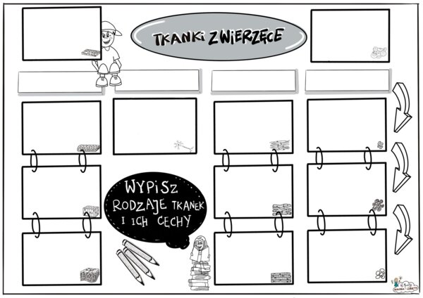 Tkanki zwierzęce. Klasa 6 KARTA PRACY