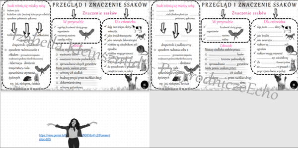 Minizestaw na temat „Przegląd i znaczenie ssaków”– sketchnotka + karta pracy w power point + gratisowy link do prezentacji multimedialnej niekomercyjnej wykonanej w genial.ly do indywidualnego pobrania i użycia do celów niekomercyjnych. Biologia 6, dział