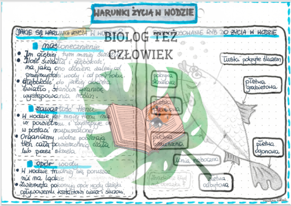 Warunki życia w wodzie - kolor