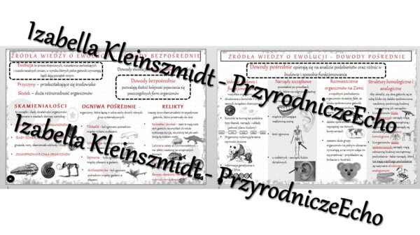 Sketchnotka - notatka „Źródła wiedzy o ewolucji” wykonana w power point do edycji. Biologia 8; „Ewolucja życia”