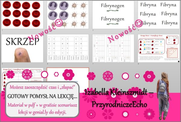 Karta pracy/stacje zadaniowe/materiał do lekcji do tematu „Grupy krwi” w pdf. W gratisie niekomercyjny scenariusz lekcji/pomysł na lekcję w programie genial.ly do edycji. Biologia 7. Dział „Układ krwionośny”.