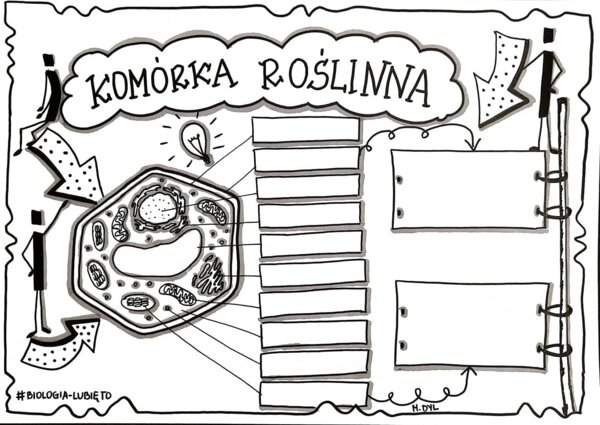 Klasa 5. Biologia. Komórka roślinna (dwie karty pracy)