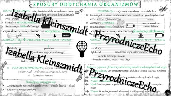 Sketchnotka - notatka „Sposoby oddychania organizmów” wykonana w power point do edycji. Biologia 5; „Budowa i czynności życiowe organizmów”