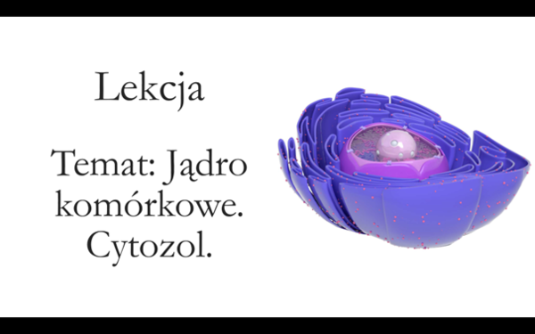 Klasa 1 ( zakres rozszerzony) - Jądro komórkowe. Cytozol - prezentacja