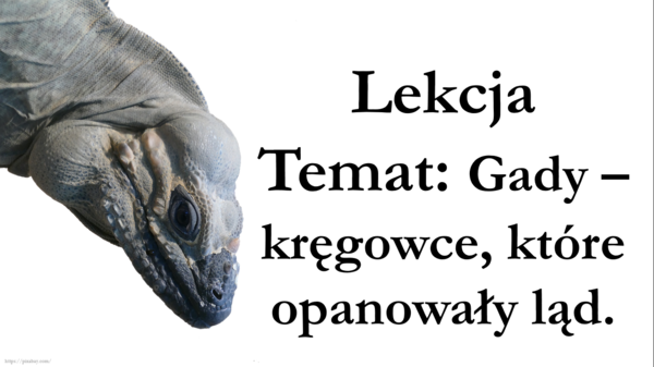 klasa 6 - Gady - prezentacja