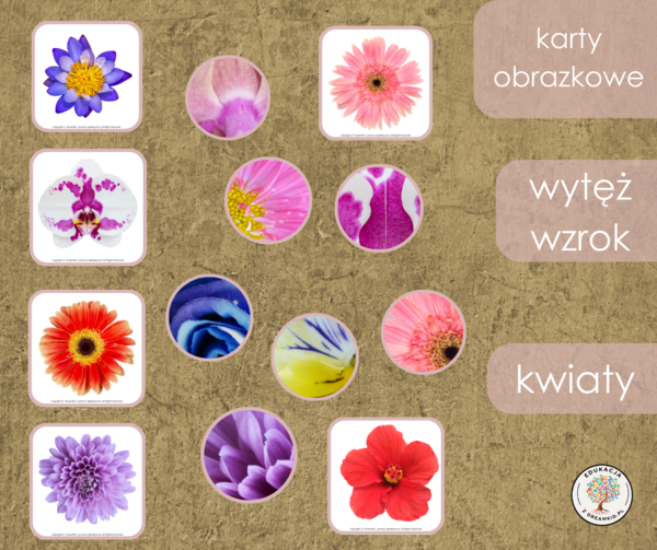 Gra - wytęż wzrok - kwiaty