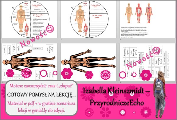 Pomysł na lekcję/karta pracy/stacje zadaniowe/materiał do lekcji do tematu „Szkielet i mięśnie umożliwiają ruch” w pdf. W gratisie niekomercyjny scenariusz lekcji/pomysł na lekcję w programie genial.ly do edycji. Przyroda 4. Dział „Odkrywamy tajemnice ci
