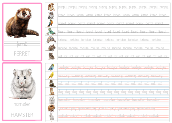 Nauka pisania po śladzie: Pets TRACING