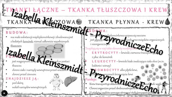 Sketchnotka - notatka „Tkanka łączna - tłuszczowa i krew” wykonana w power point do edycji. Biologia 6; „Świat zwierząt”