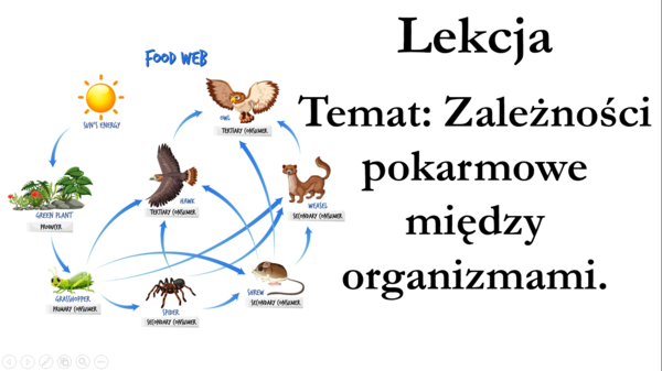 Klasa 8 - Zależności pokarmowe - prezentaja