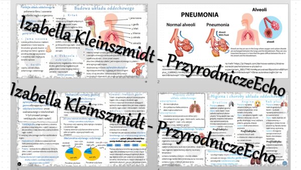 Zestaw sketchnotek – notatek do całego działu „Układ oddechowy” wykonanych w power point do edycji. Biologia 7
