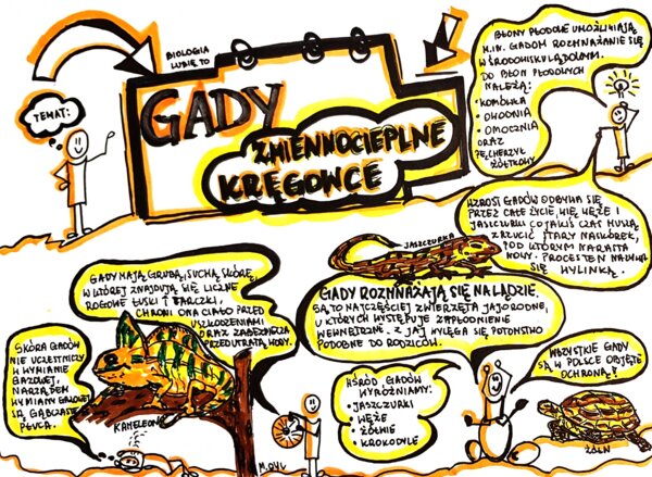 Klasa 6. Biologia. Gady (karta pracy kolorowa)