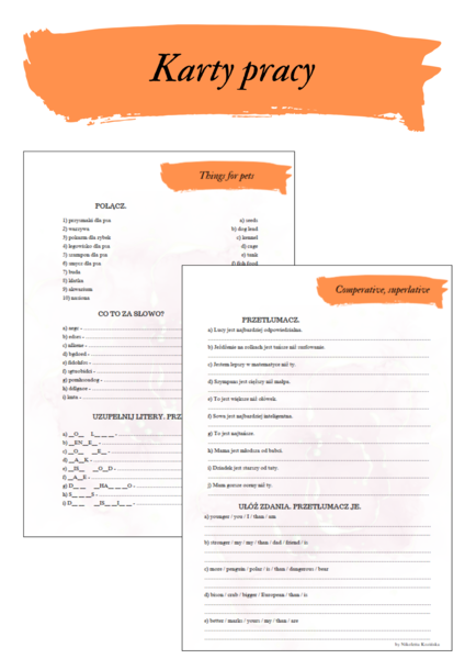 Brainy 6 unit 4 karty pracy słownictwo + gramatyka