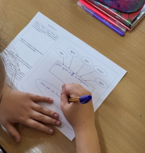 Fonetyka - funkcje głoski i