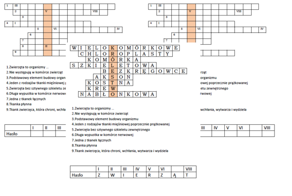 Logogryf dla klasy 6 na podsumowanie 1 działu "Świat zwierząt"