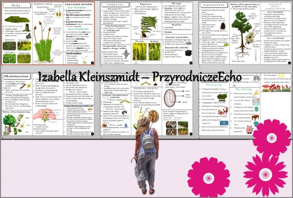Zestaw sketchnotek/książeczek/notatek/wklejek/ściąg dla ucznia i przypomnień dla nauczyciela/edukacja domowa w pdf do całego działu. Biologia 5, dział „Różnorodność roślin”. Nowość 2024/2025.