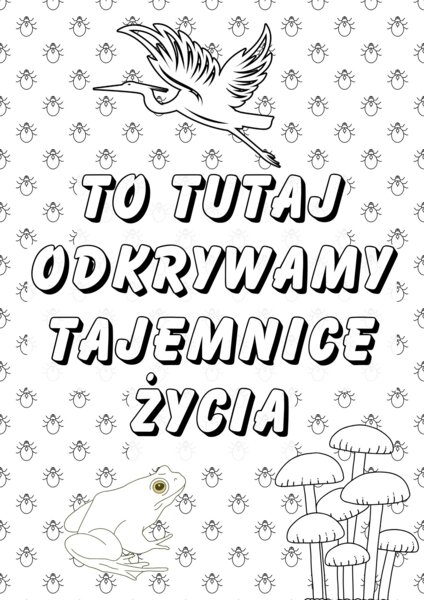 PLAKAT BIOLOGIA XXL - 9xA4 (plakat, kolorowanka)