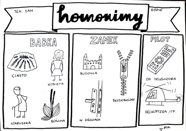 Język polski. Homonimy i homofony